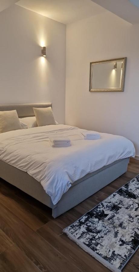 Modern House Hotel Sighetu Marmatiei Luaran gambar